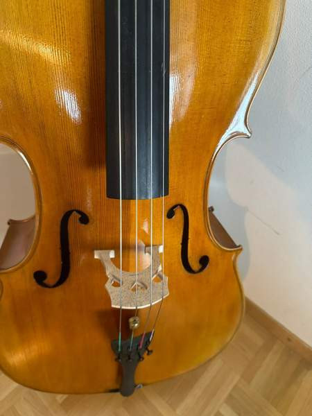 Kokosello ja kotelo Helsinki – foto 2