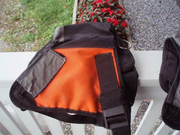 Pointer liivi Maalahti – foto 1