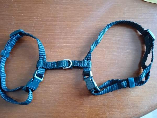 Kissan valjaat Äänekoski – foto 2