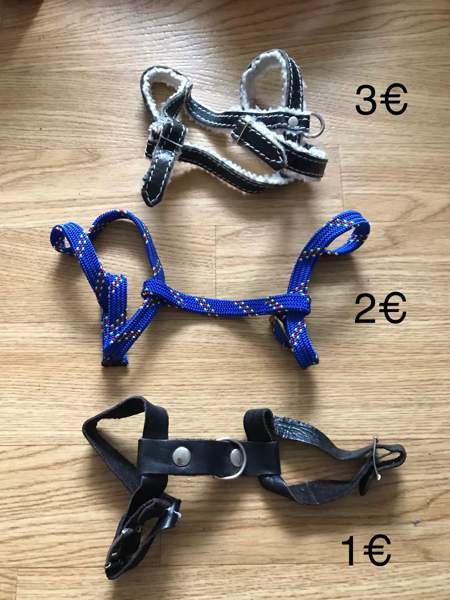 Kissan valjaita ja pantoja Tampere - valokuva 1