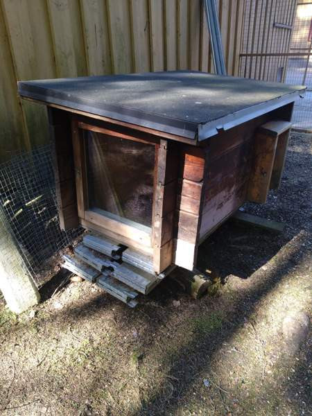 Koirankoppi Сейняйоки - изображение 1