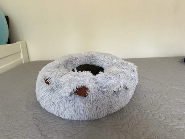 koira Nurmijaervi – foto 3