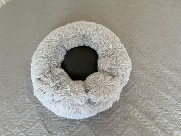 koira Nurmijaervi – foto 1