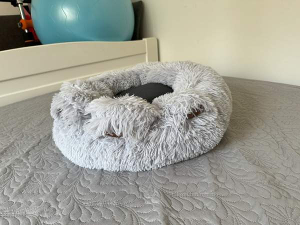 koira Nurmijaervi – foto 2