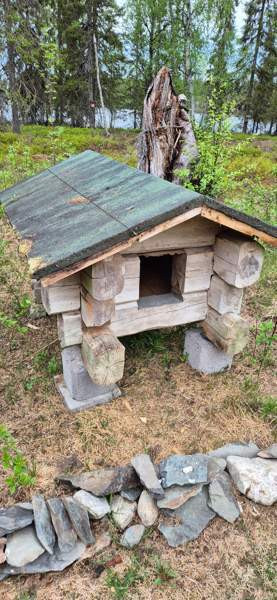 Hirsinen koirankoppi Куусамо - изображение 1