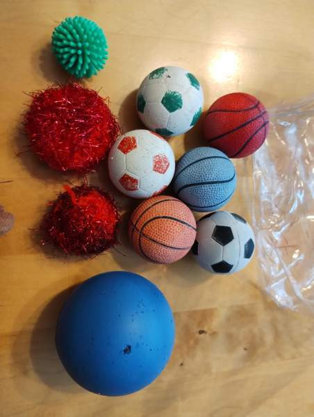 Kissojen leluja Espoo - valokuva 6