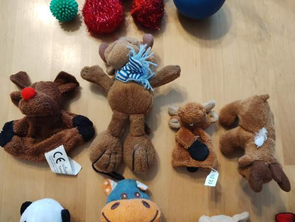 Kissojen leluja Espoo - valokuva 5