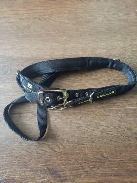 Canny collar koko 5 Luumäki - изображение 1