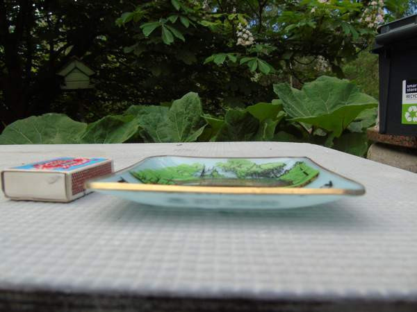 Harvinainen tuhkis Uusikaupunki - photo 3