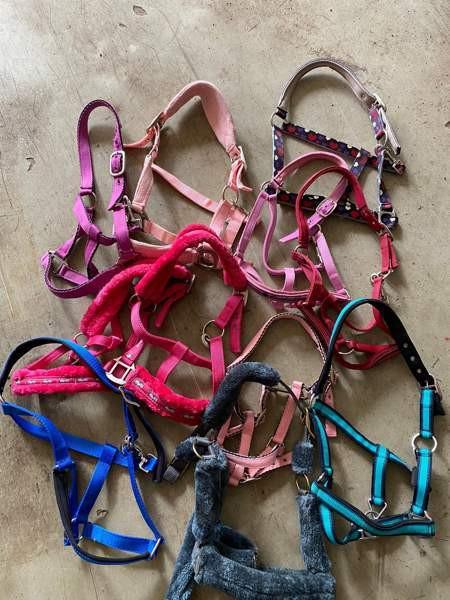 Paljon poni/cob kokosta tavaraa myynnissä Kirkkonummi – foto 1