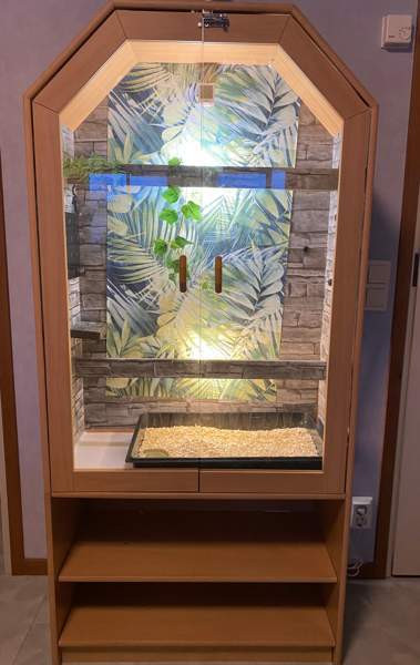 Terraario/vitriini Kuopio - photo 1