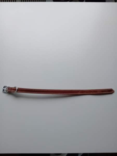 Koira panta Helsinki - photo 3