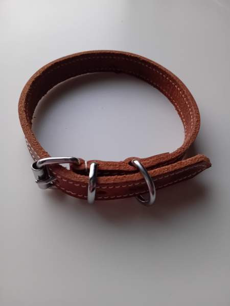 Koira panta Helsinki - photo 1