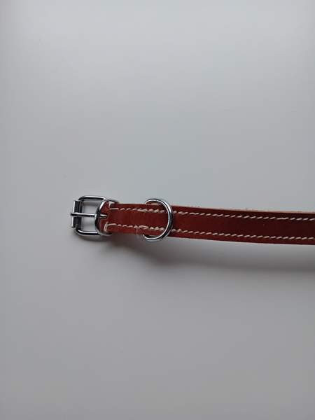 Koira panta Helsinki - photo 2