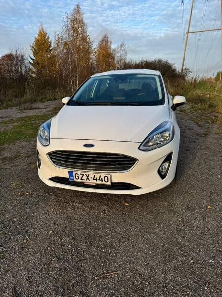 Ford Fiesta Раума - изображение 2