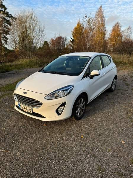 Ford Fiesta Раума - изображение 1