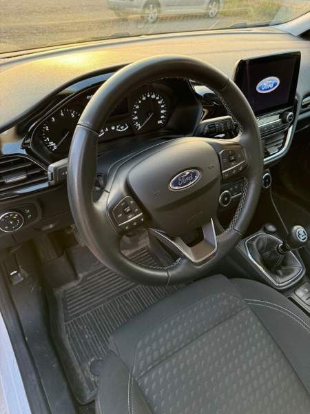 Ford Fiesta Раума - изображение 5