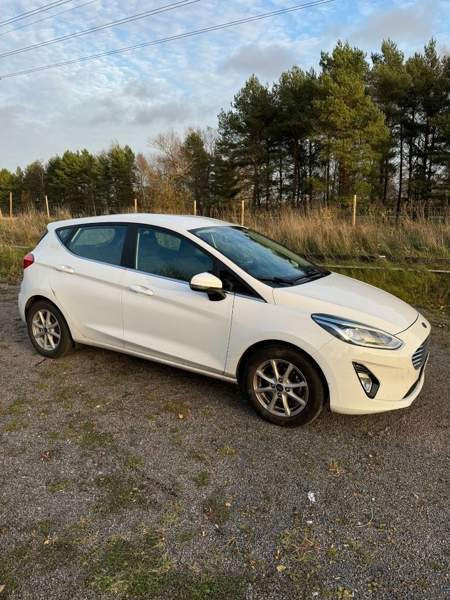 Ford Fiesta Раума - изображение 3