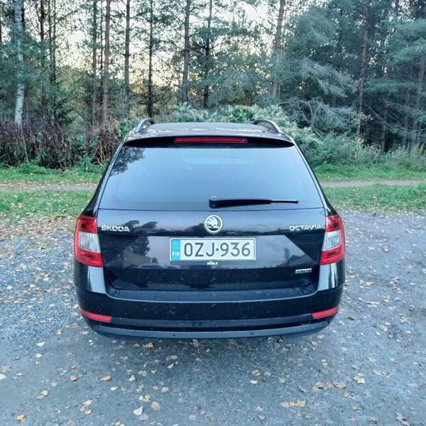 Skoda Octavia Yloejaervi - изображение 6