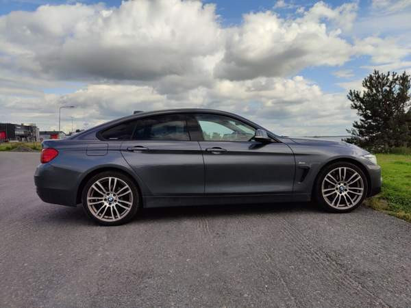 BMW 420 Вааса - изображение 7