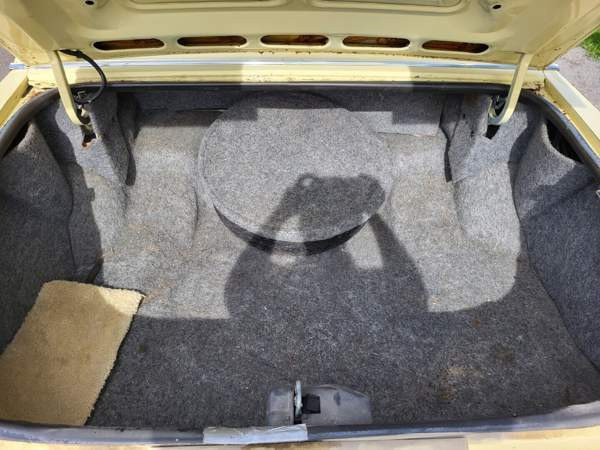 Cadillac Fleetwood Savonlinna - valokuva 8