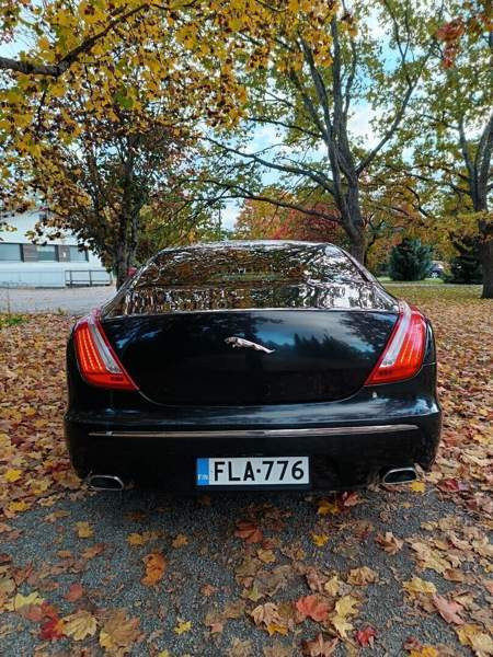 Jaguar XJ Турткуль - изображение 8