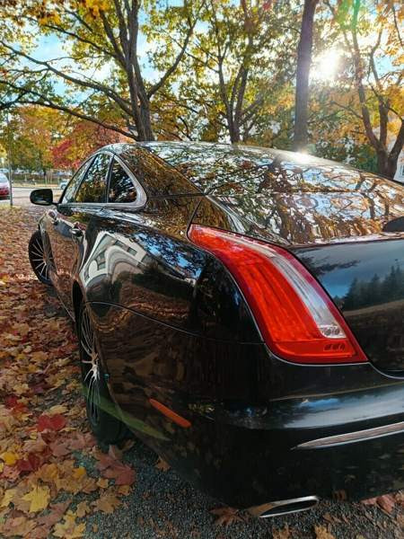 Jaguar XJ Турткуль - изображение 5