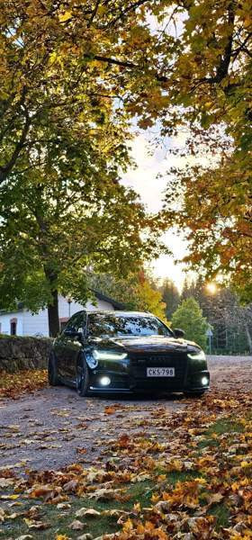 Audi A6 Raasepori - valokuva 6