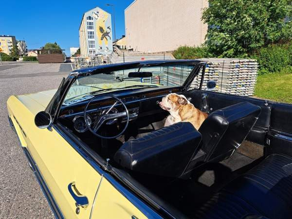 Buick Electra Kemin - valokuva 6