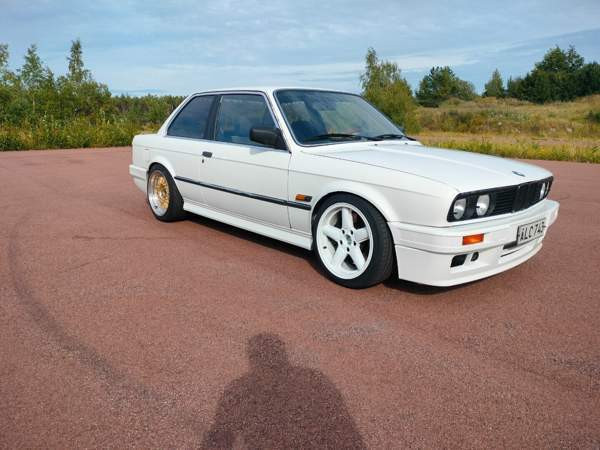 BMW 316 Lemland - изображение 2