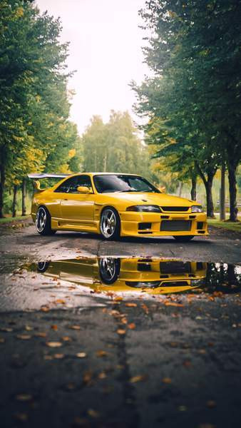 Nissan Skyline Лаппенранта - изображение 1