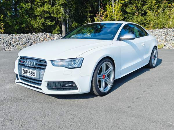 Audi S5 Glebychevo - photo 1
