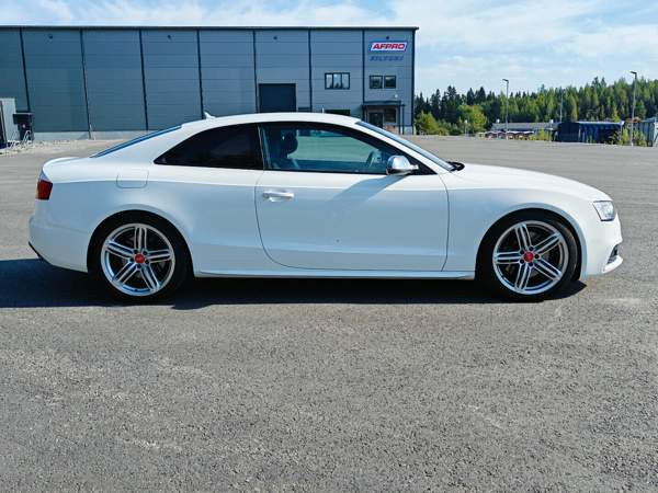 Audi S5 Glebychevo - photo 7
