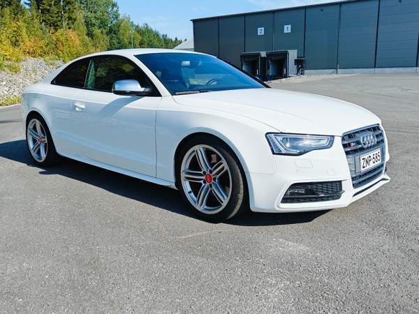 Audi S5 Glebychevo - photo 8
