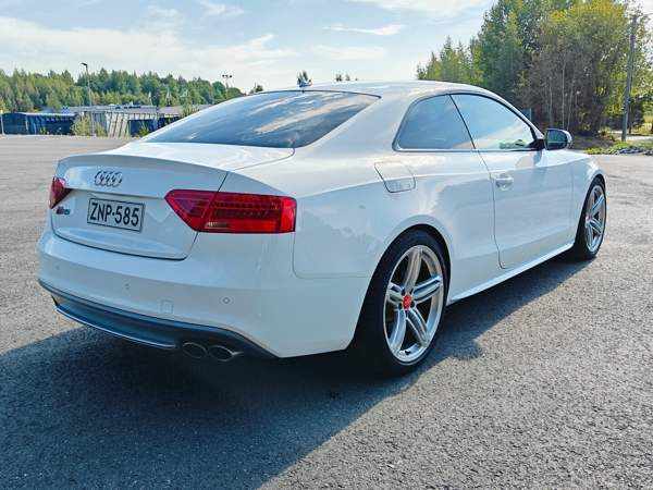 Audi S5 Glebychevo - photo 6