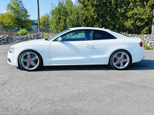 Audi S5 Glebychevo - photo 3