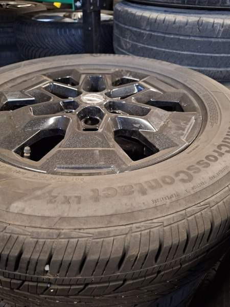 Nissan Navara Форсса - изображение 7