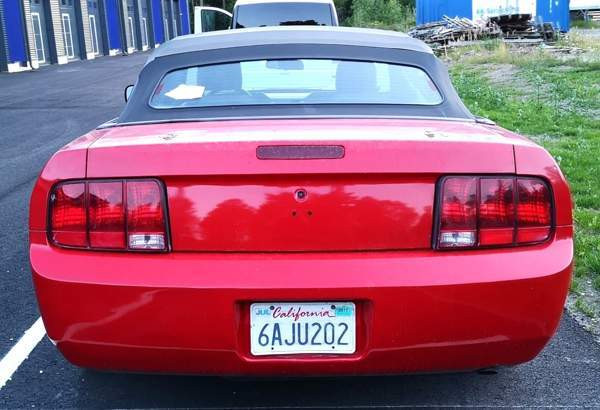 Ford Mustang Turtkul – foto 3