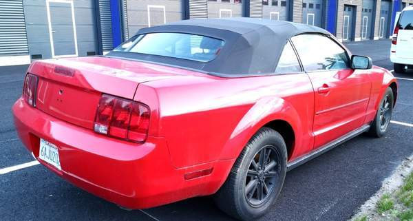 Ford Mustang Turtkul – foto 4