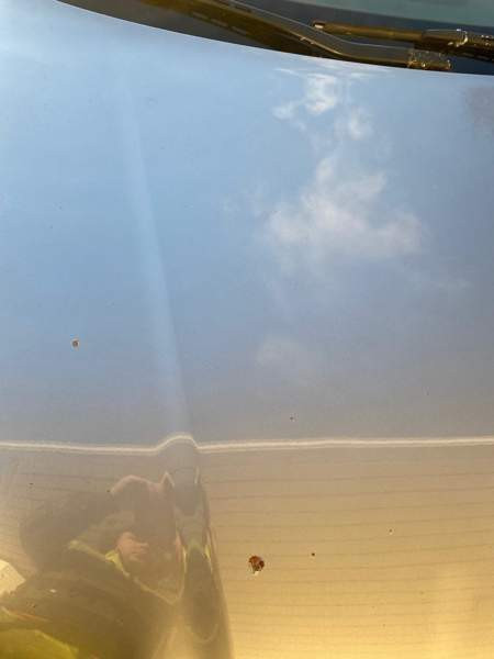 Audi A4 Kouvola - valokuva 2