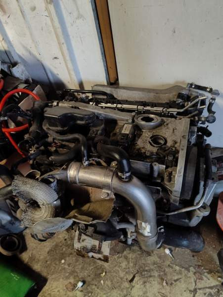 Seat Leon Heinola – foto 6