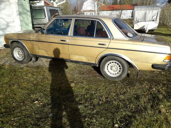 Mercedes-Benz 300 Луга - изображение 1