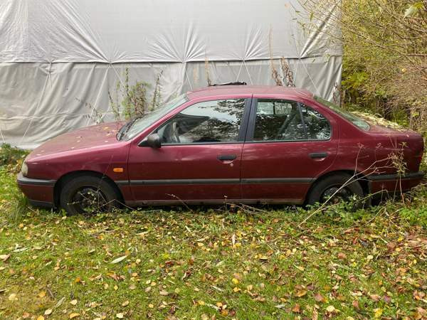 Nissan Primera Йоэнсуу - изображение 2