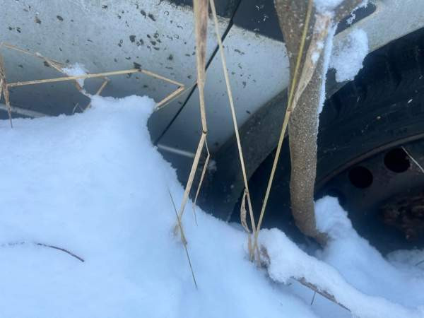 Volkswagen Golf Lieksa – foto 5