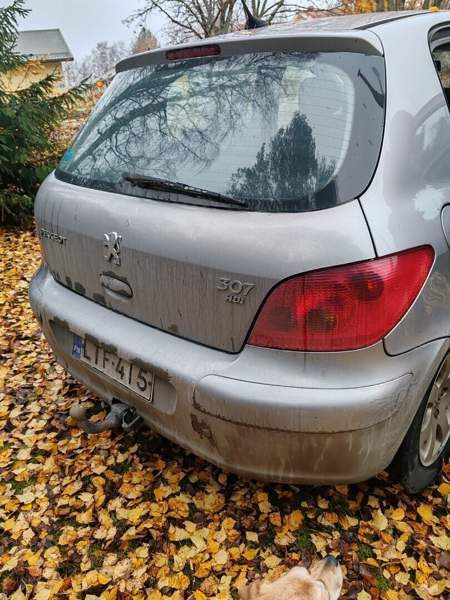 Peugeot 307 Pyhäntä - photo 4