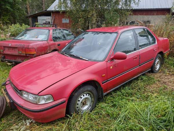 Honda Accord Куопио - изображение 1