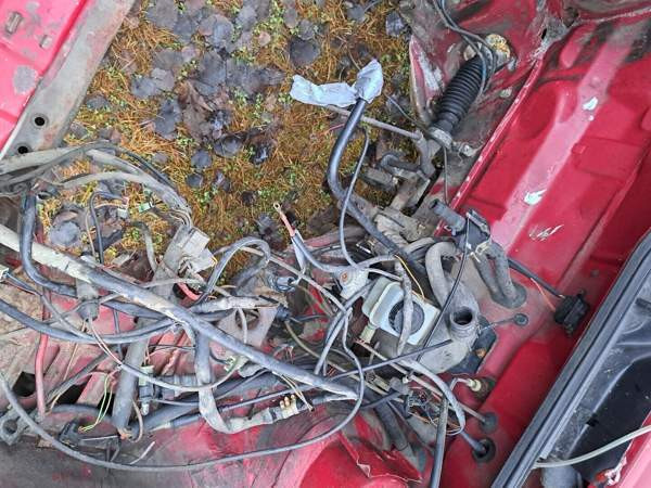 Volkswagen Caddy Loimaa – foto 8