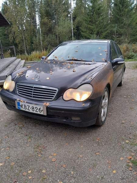 Mercedes-Benz 220 Tuusniemi - изображение 1