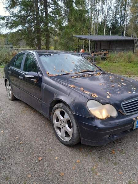 Mercedes-Benz 220 Tuusniemi - изображение 2