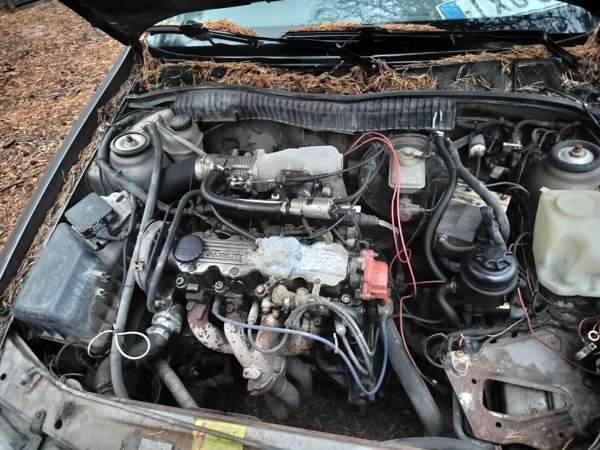 Opel Calibra Kuusamo - valokuva 5